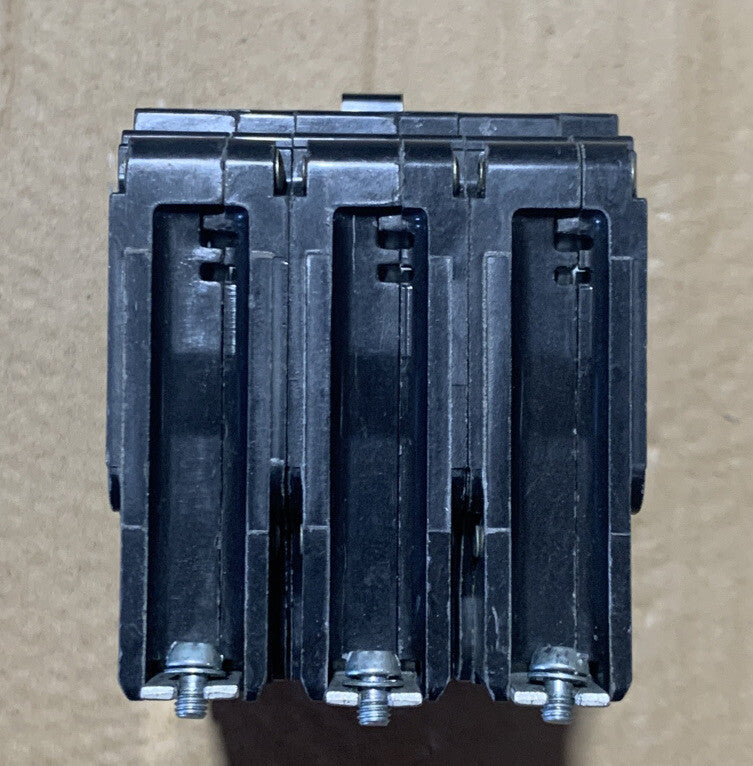33704248