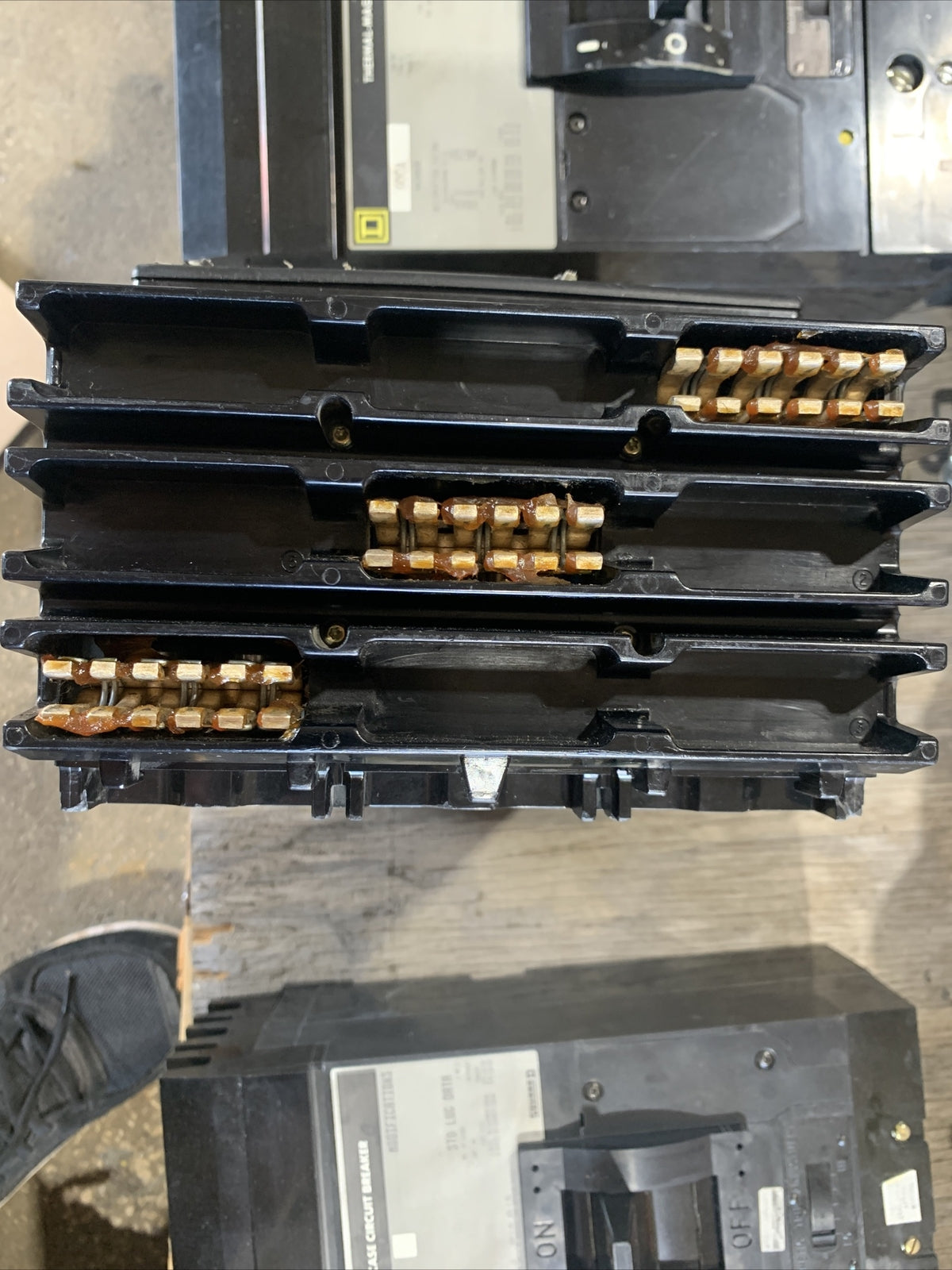 36450731