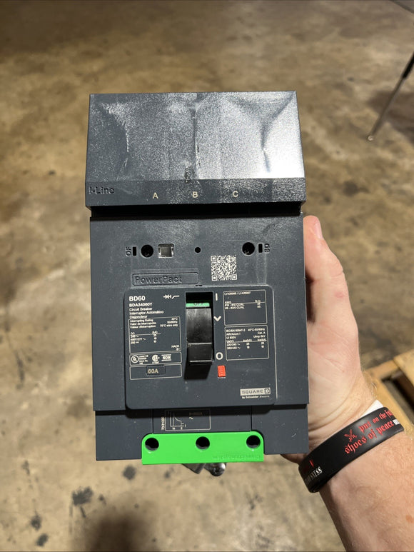 46054562