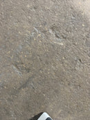 45389453