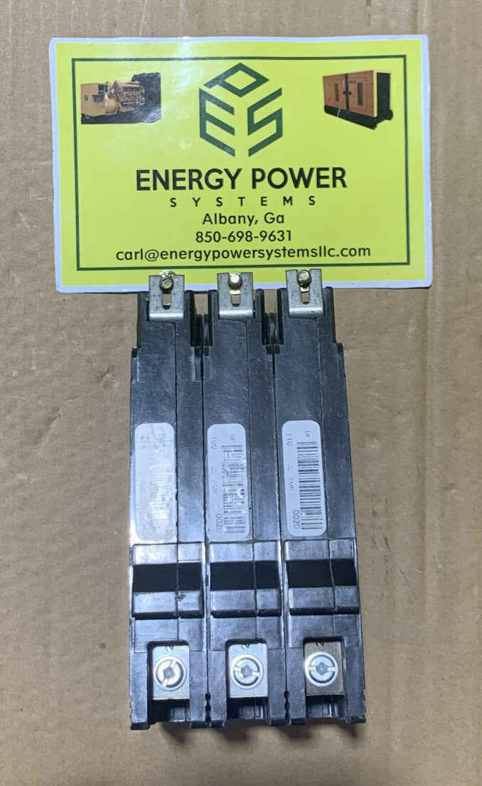 33705064