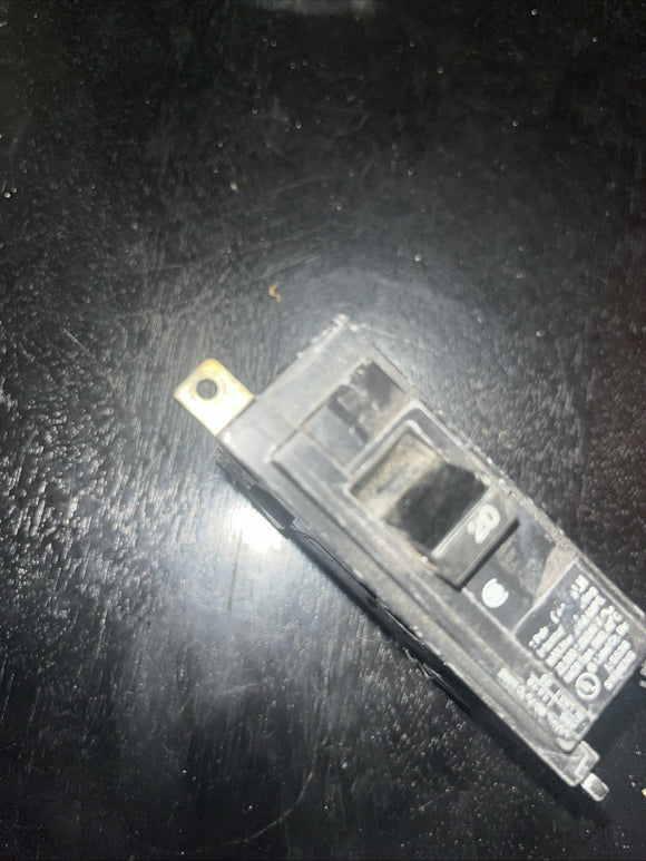 46113504