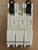 45389051