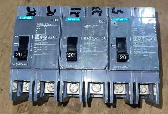 45389010