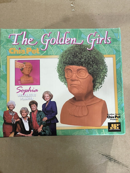 31155619