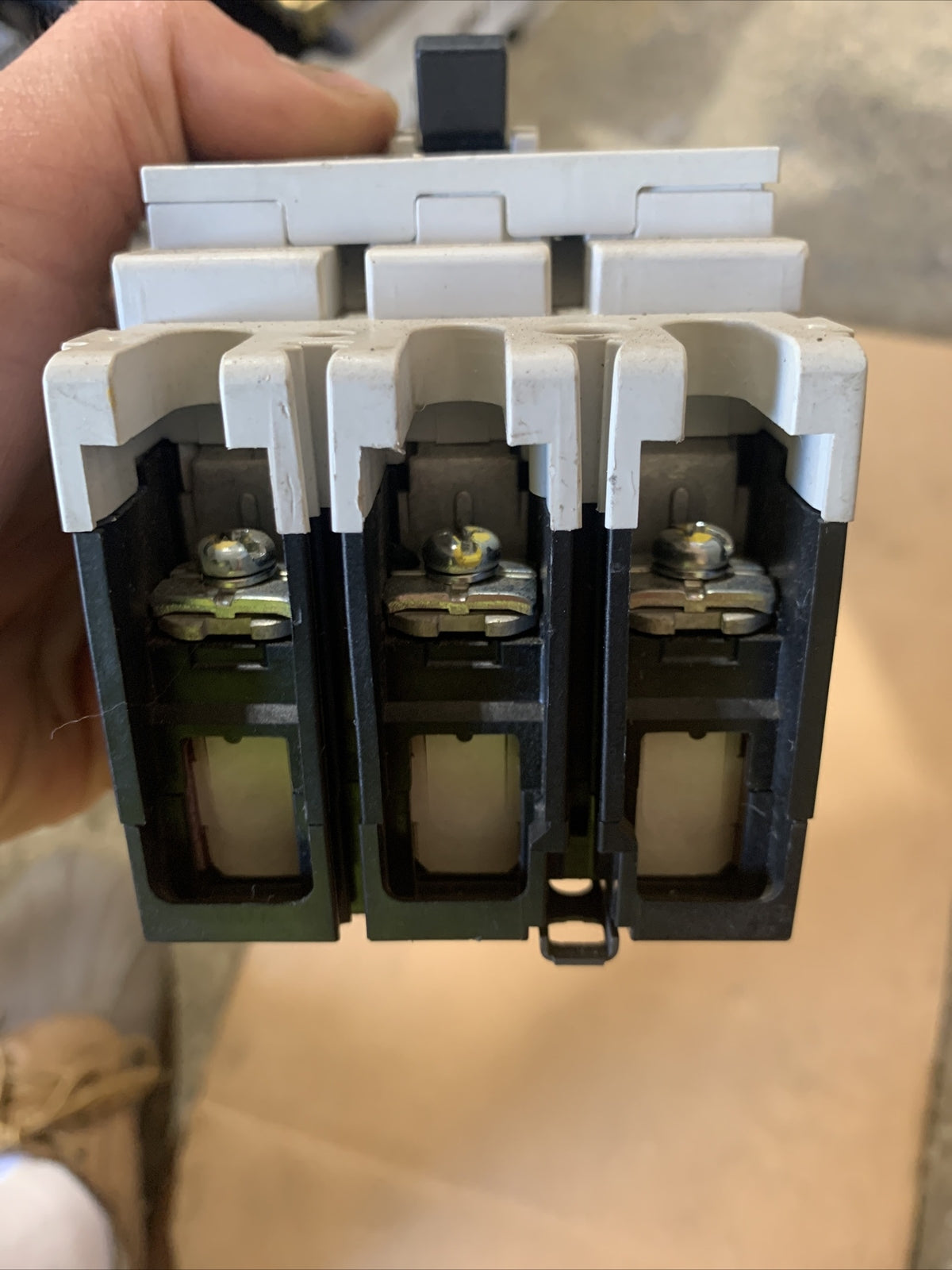 37069585
